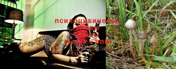 бутират Баксан